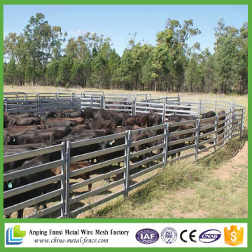 Baratos galvanizado Steel Cattle Panels para venda